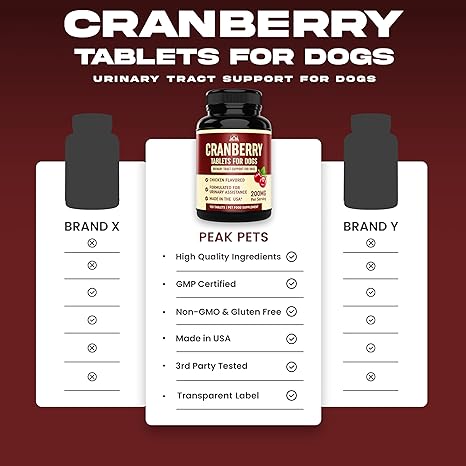 Cranberry Supplement for Dogs UTI Treatment