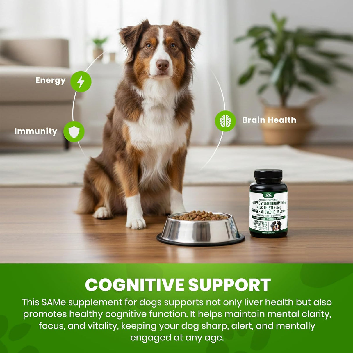 Liver Health Support for Large Dogs