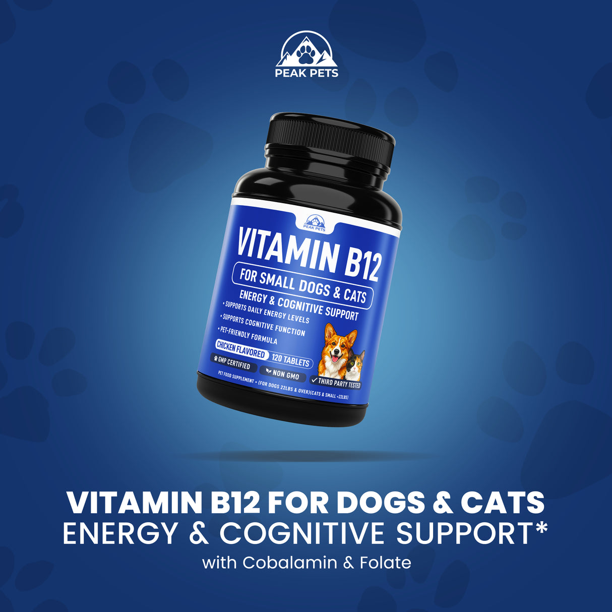 Vitamin B12 for Small Dogs & Cats