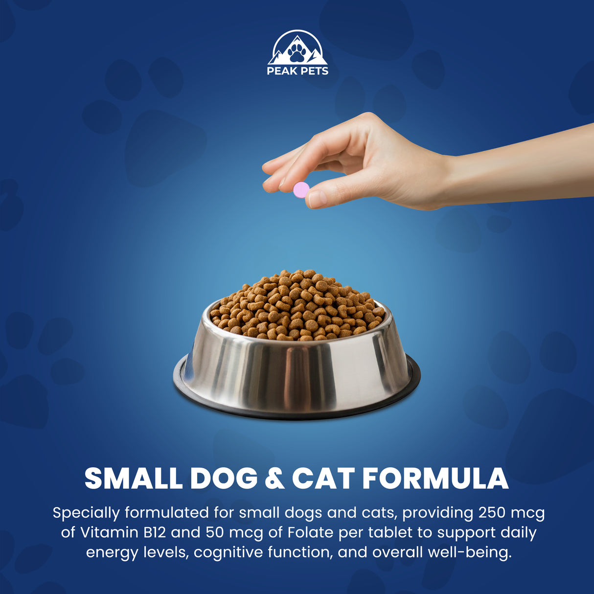 Vitamin B12 for Small Dogs & Cats