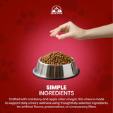 Cranberry Urinary Tract Chews