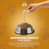 Organic Mushroom Complex for Dogs