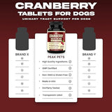 Cranberry Supplement for Dogs UTI Treatment