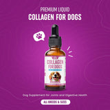 Collagen for Dogs