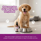 Collagen for Dogs