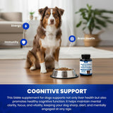 Liver Health Support for Medium Dogs