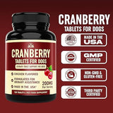 Cranberry Supplement for Dogs UTI Treatment