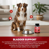 Cranberry Urinary Tract Chews