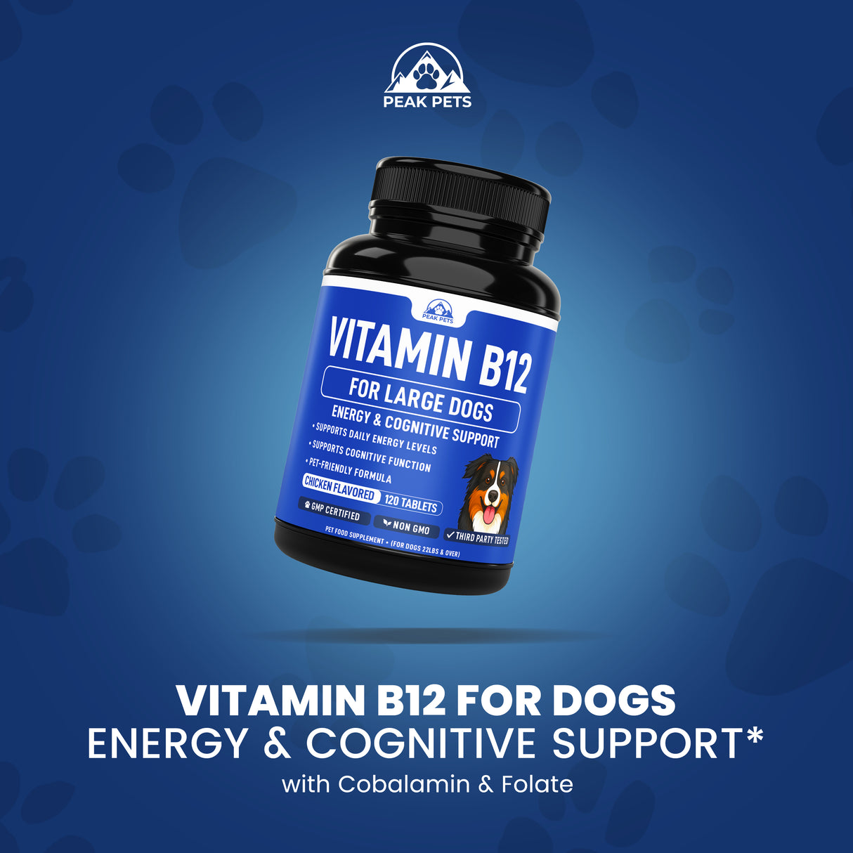 Vitamin B12 for Large Dogs