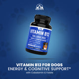 Vitamin B12 for Large Dogs