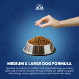 Vitamin B12 for Large Dogs