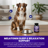 Melatonin Calming Chews Sleep Aid for Dogs