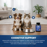 Vitamin B12 for Small Dogs & Cats