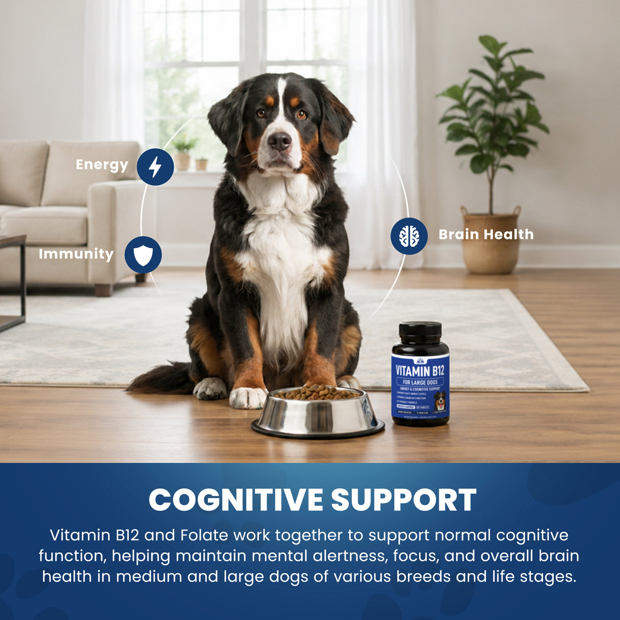 Vitamin B12 for Large Dogs