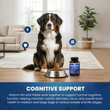 Vitamin B12 for Large Dogs